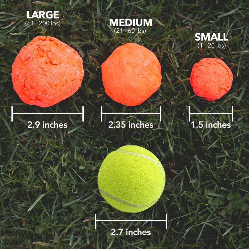 Fetch Dog Toy K96670