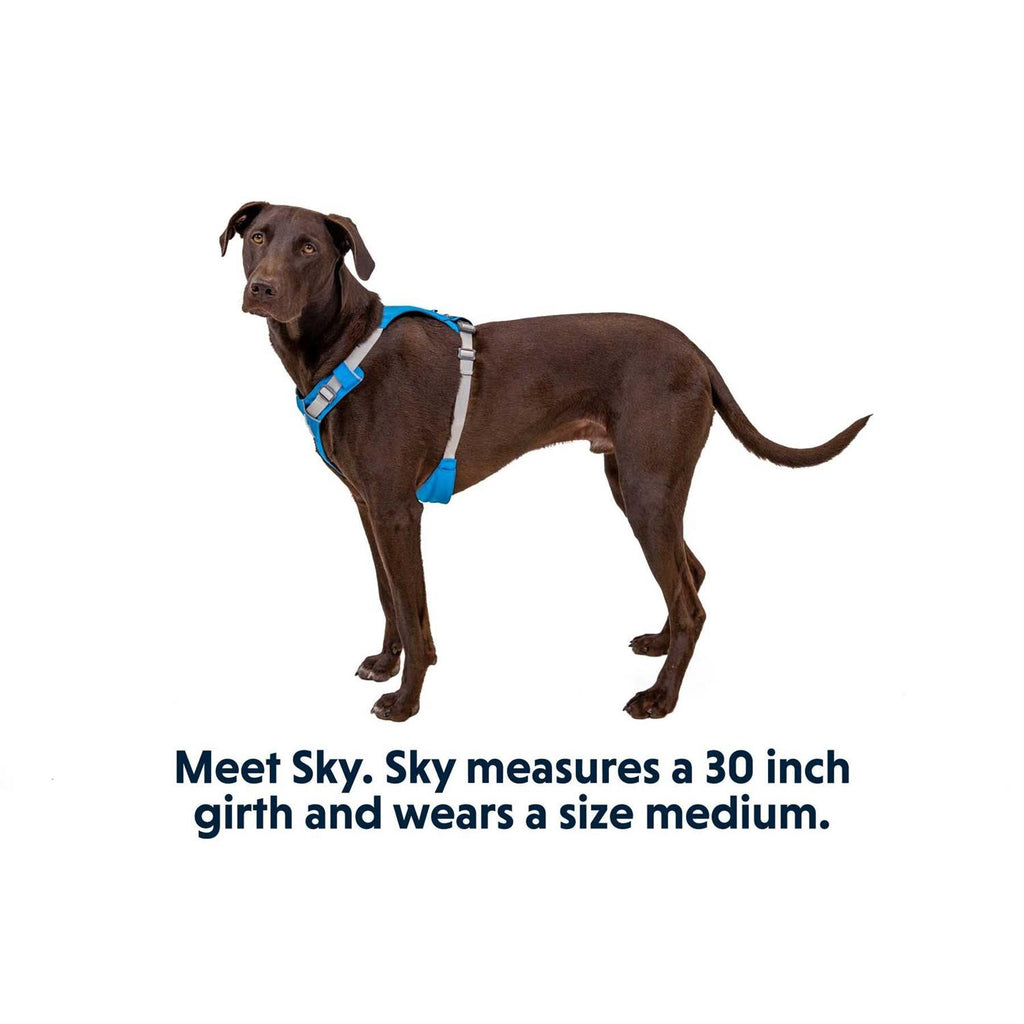 Hi & Light Dog Harness C569