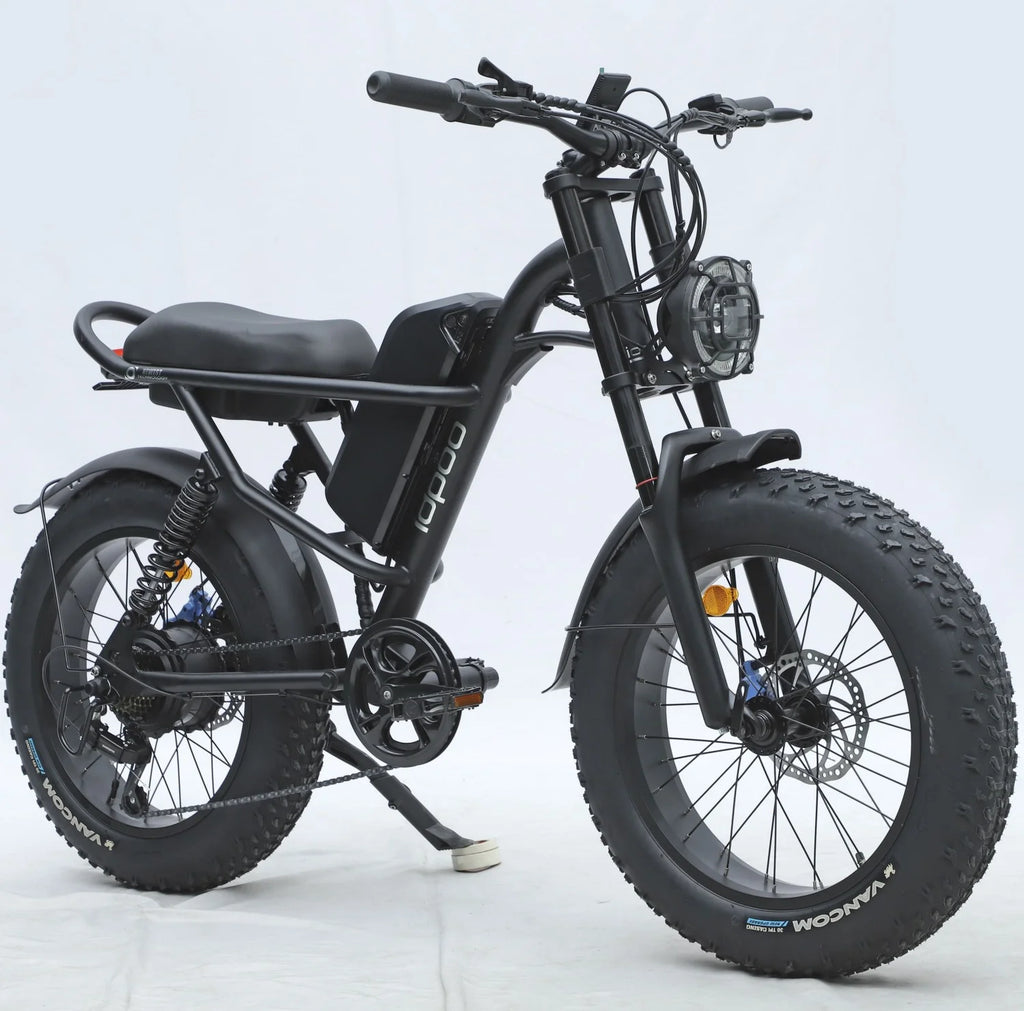 20" x 4.0 Electric Bike with 750W Motor, 48V 15.6Ah Battery V3335