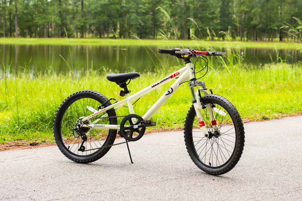 20-Inch Boys BMX Bike D41564