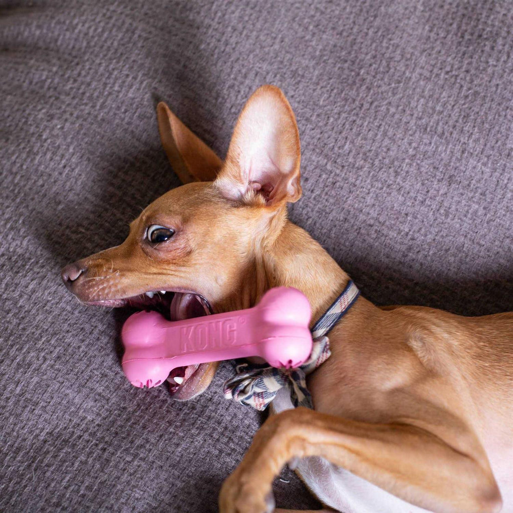 Puppy Toy H8399