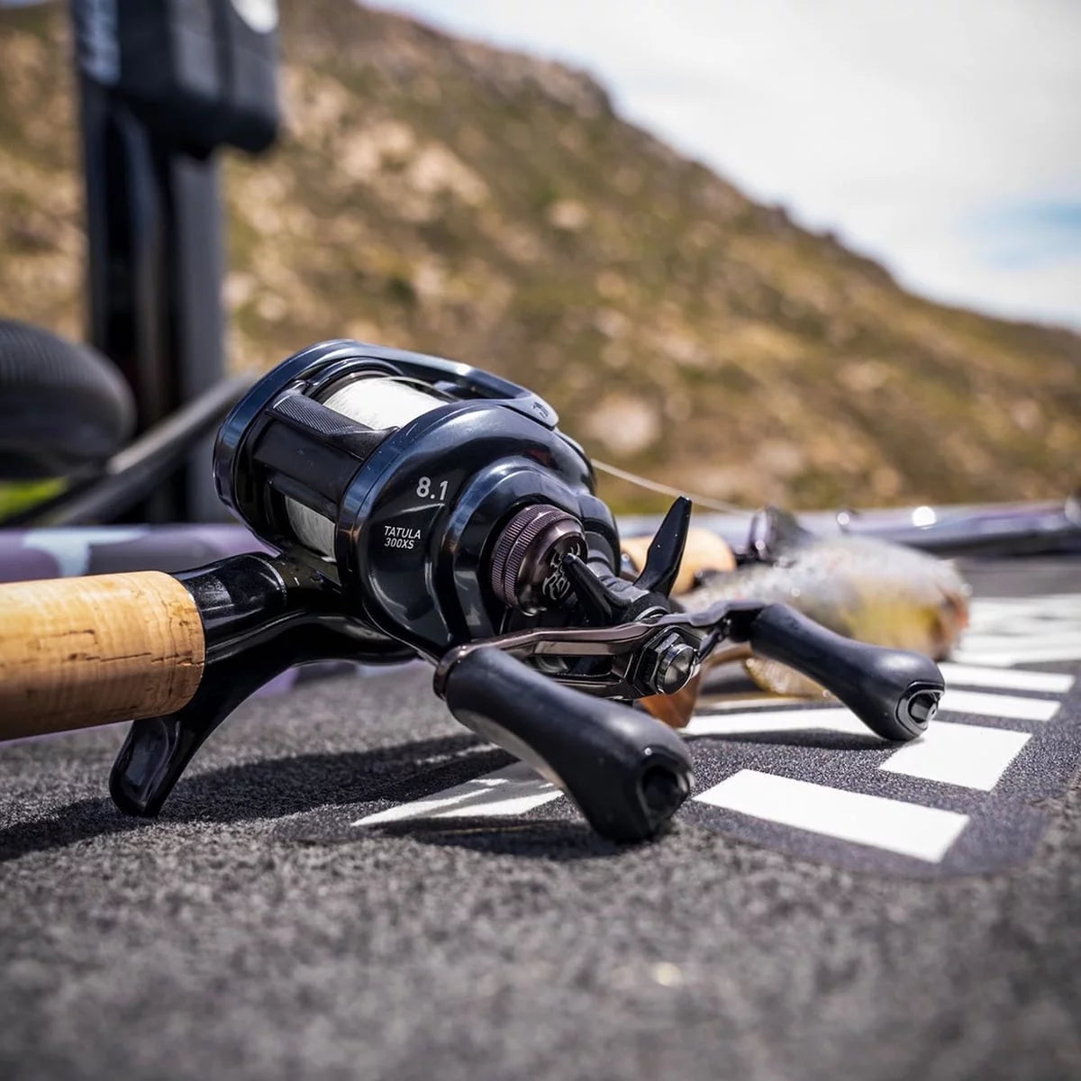 Baitcast Reel A45119