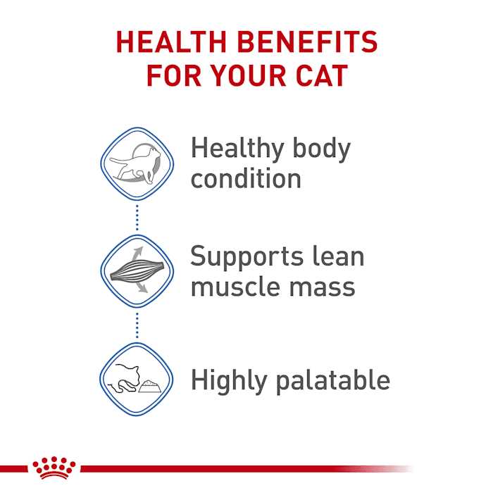 Adult Wet Cat Food Multipack G5738