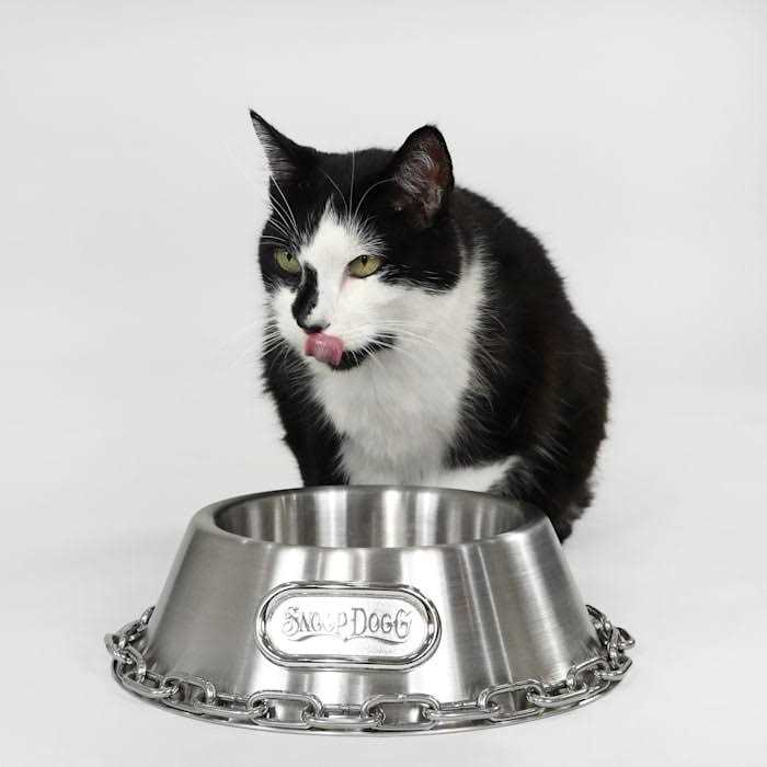 Bowl S690702