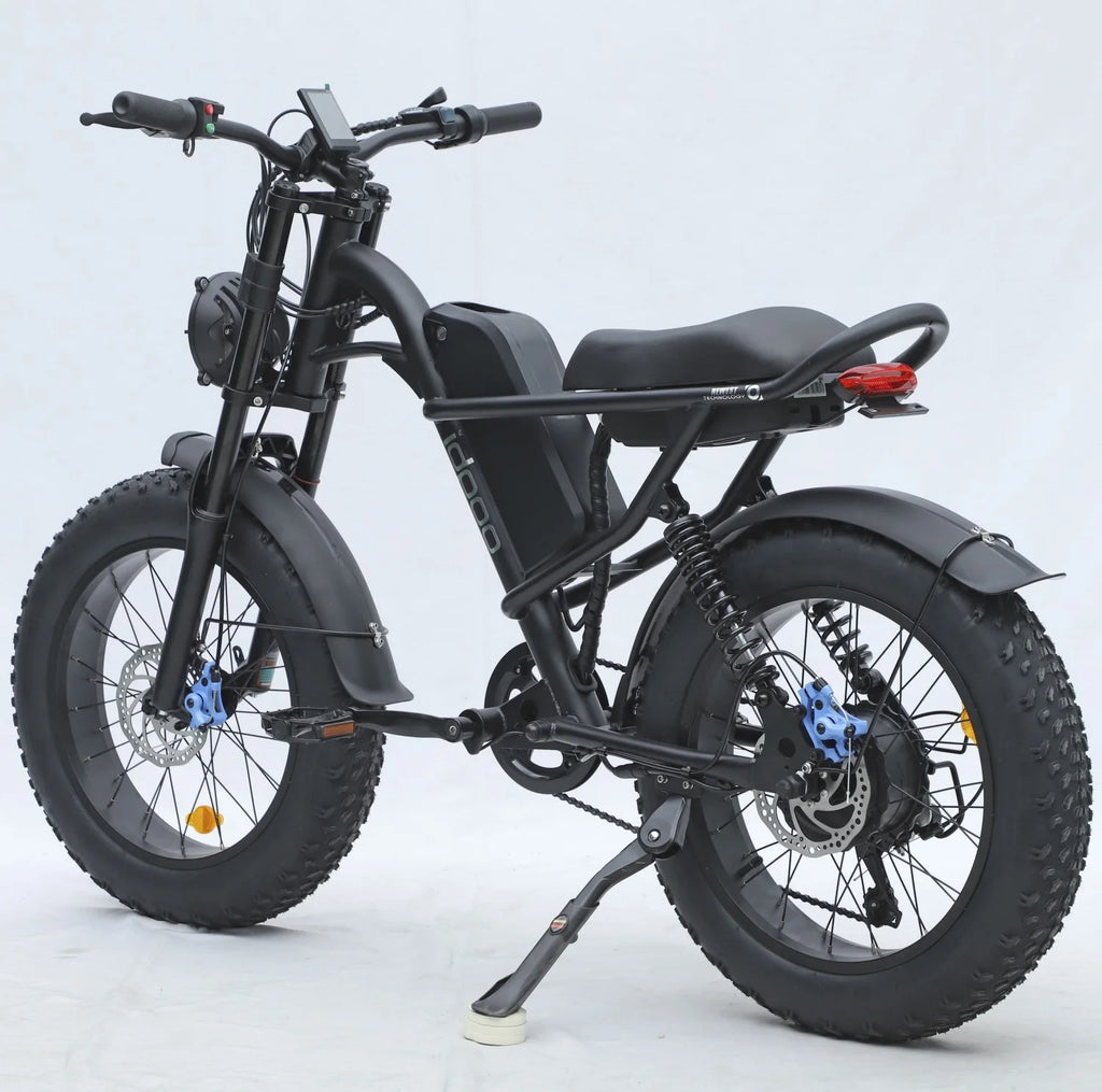 20" x 4.0 Electric Bike with 750W Motor, 48V 15.6Ah Battery V3335