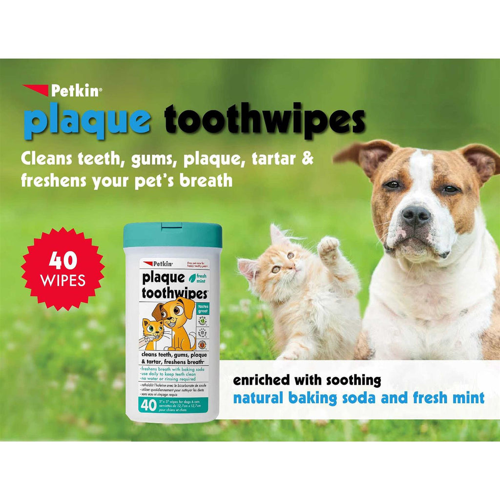 Tooth Wipes E136053