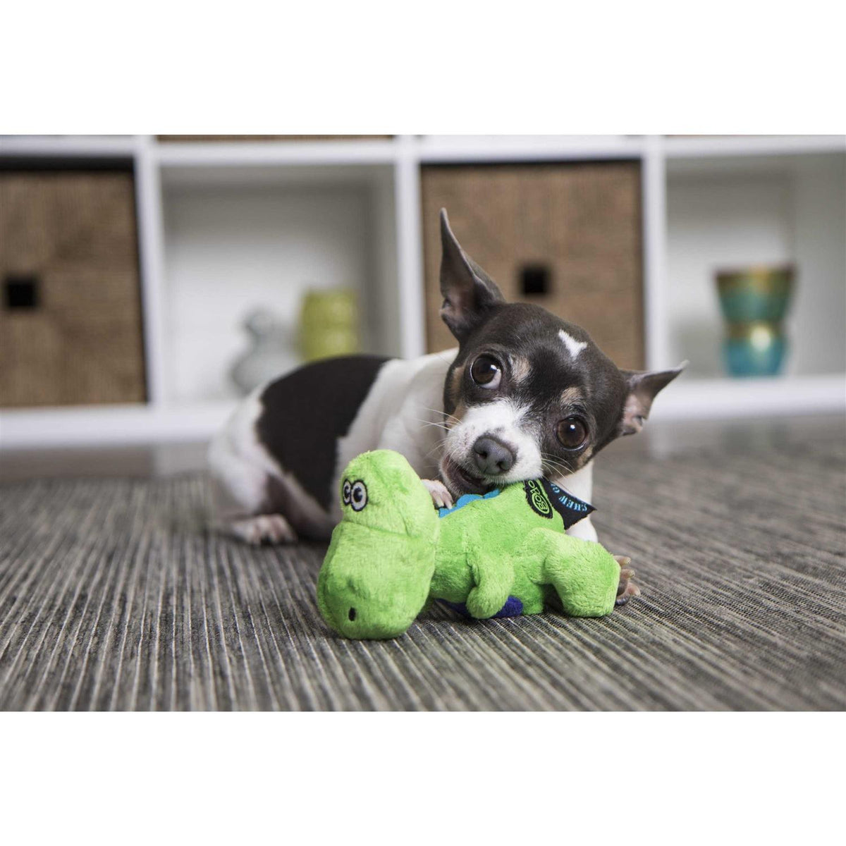 Dog Toy K53174