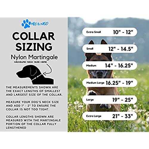 Nylon Martingale Collar I34815