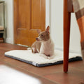 Self-Warming Reversible Cat & Dog Mat H566