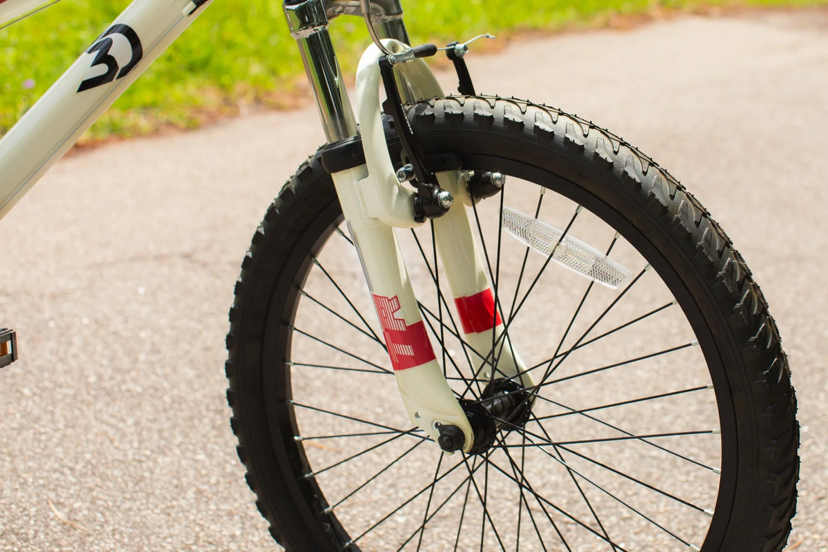 20-Inch Boys BMX Bike D41564