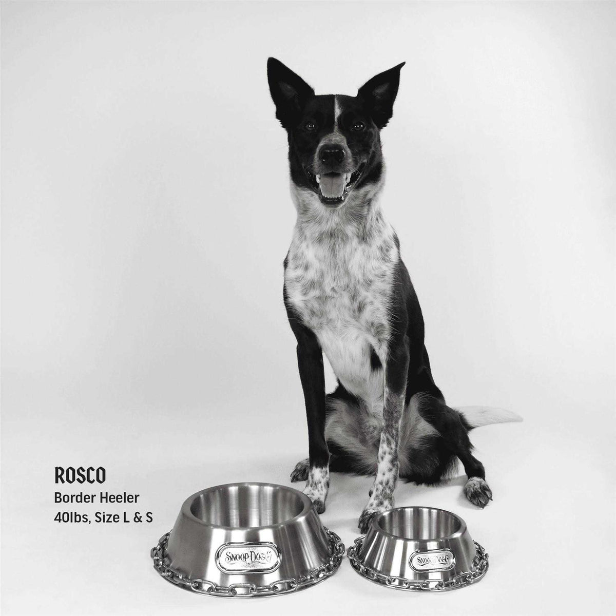 Bowl S690702