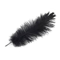 Black Ostrich Body Feathers T973