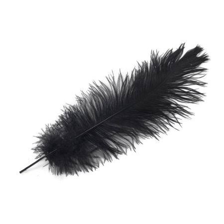 Black Ostrich Body Feathers T973