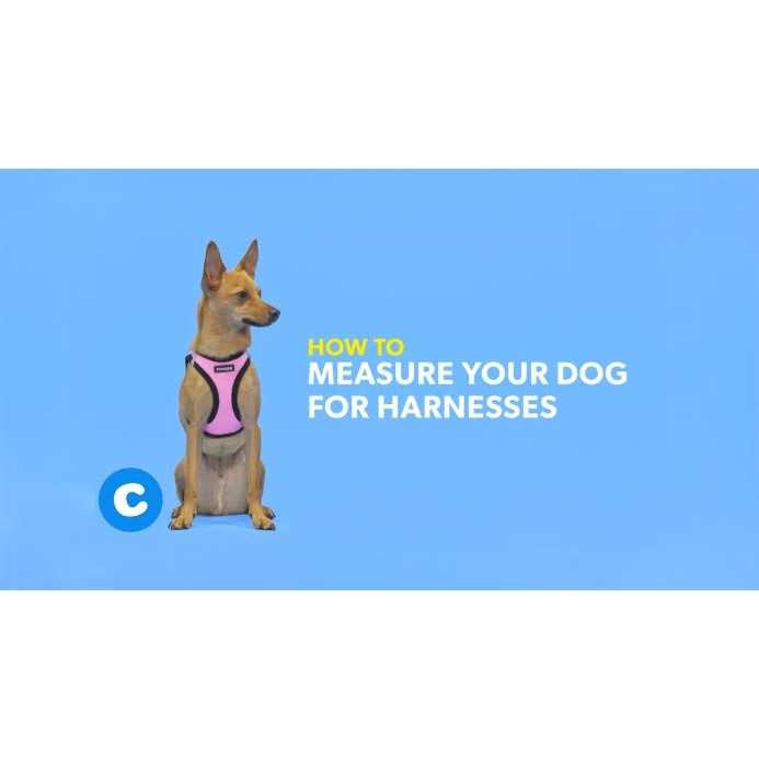 Canvas Dog Harness J83980