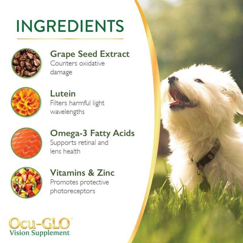Vision Supplement for Small Dogs B459021