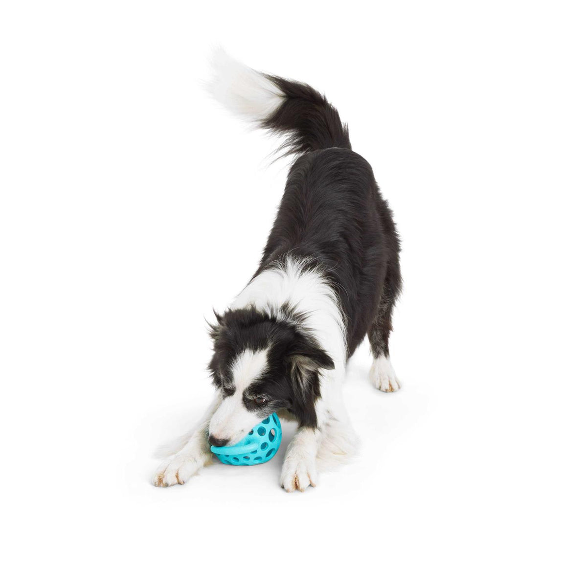 Cage Ball with Handle Dog Toy W338