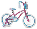 Pink and Blue Child Bike L103