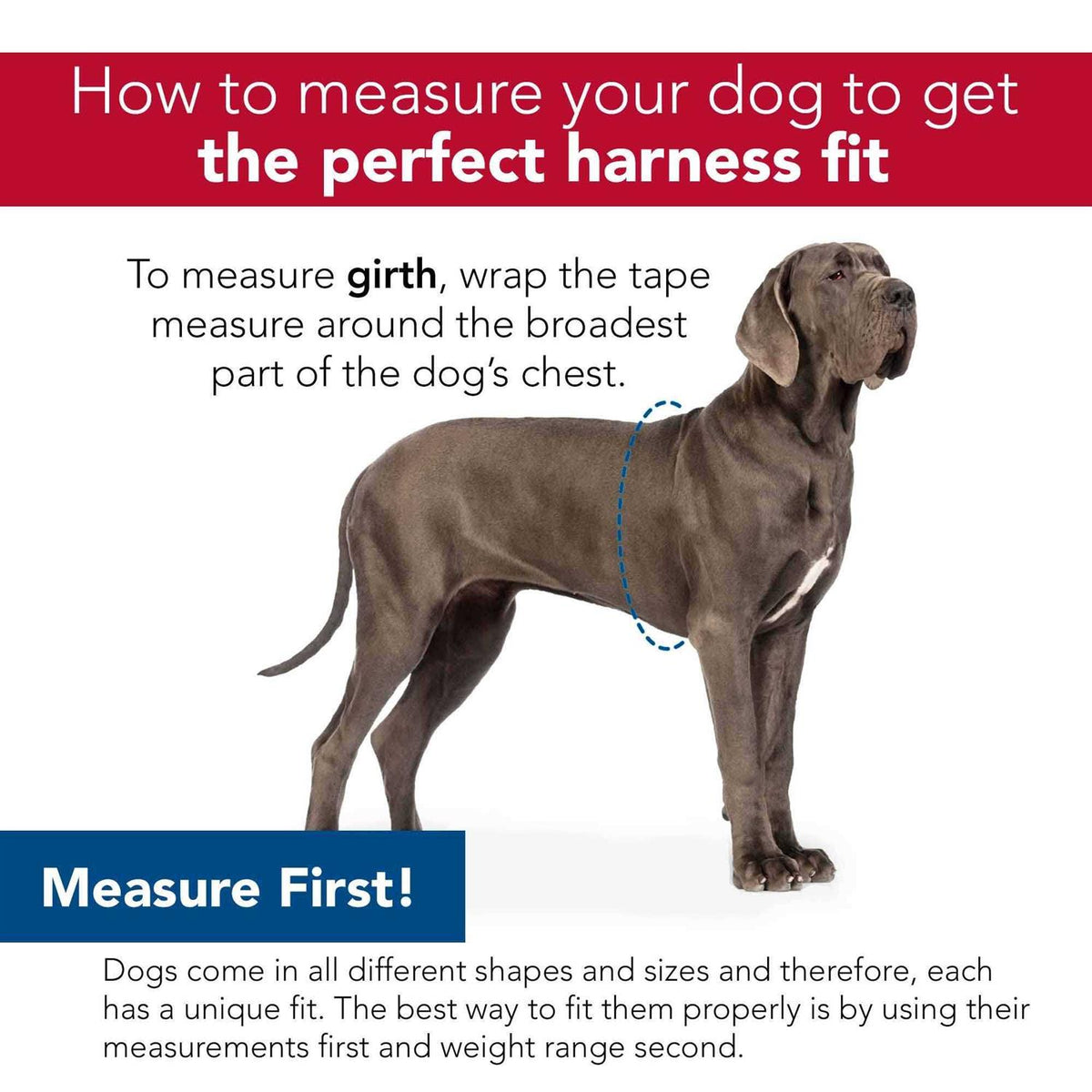 Canvas Dog Harness J83980
