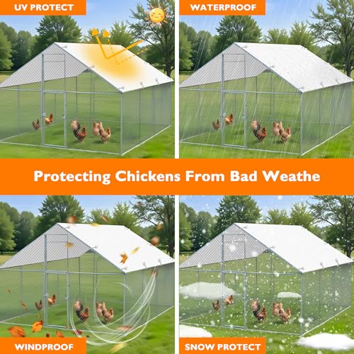 Chicken Coop Cover W565519