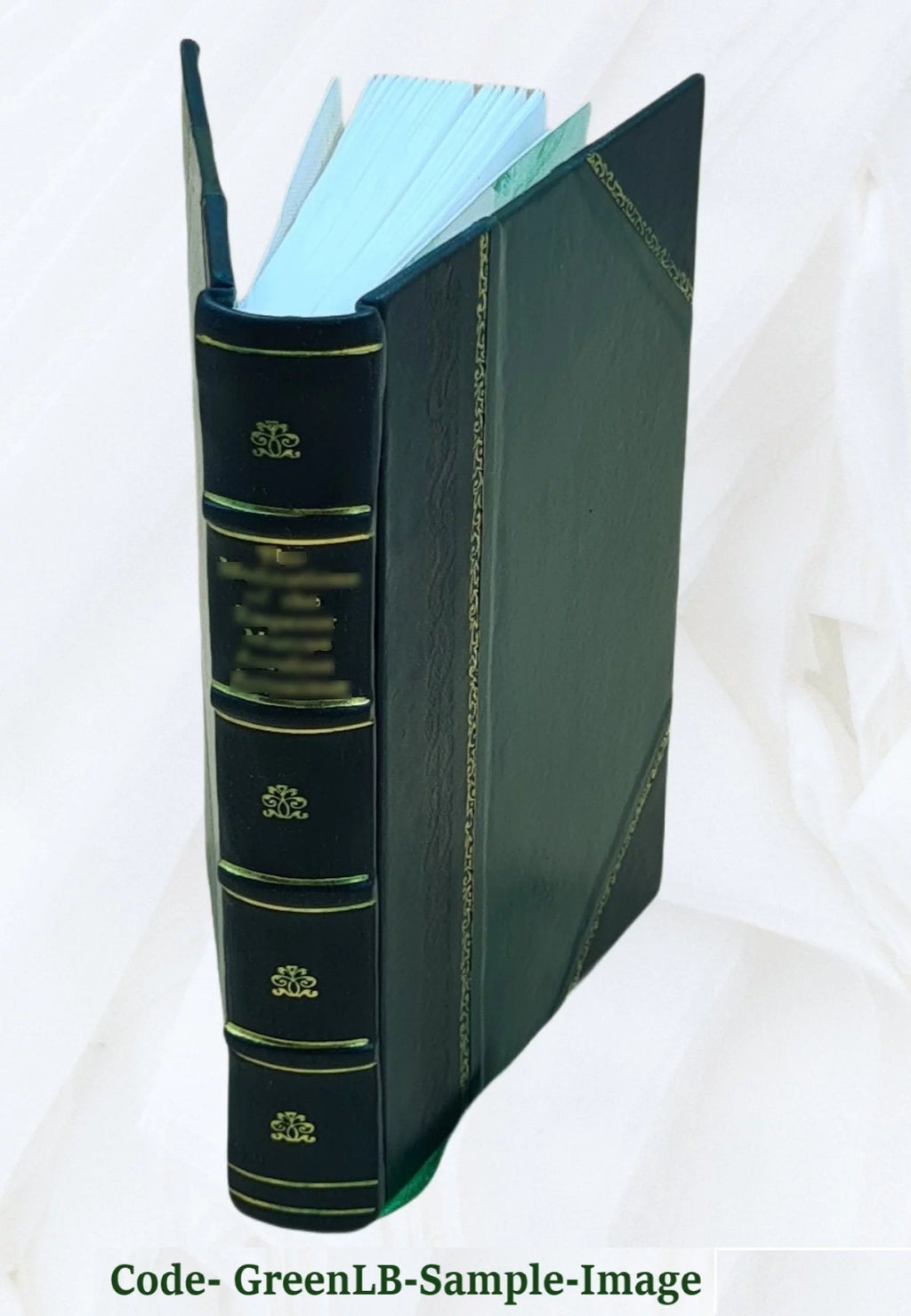 Law Reports Volume 5 1899 Leather Bound Y71635
