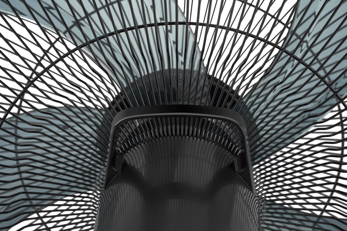 Black 12-Speed Pedestal Fan with Remote Y240