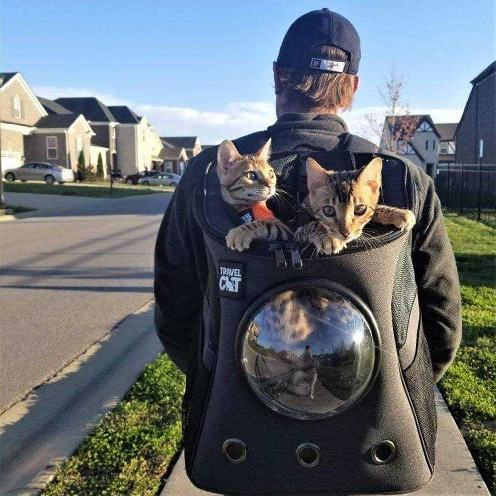 Cat Backpack Y263