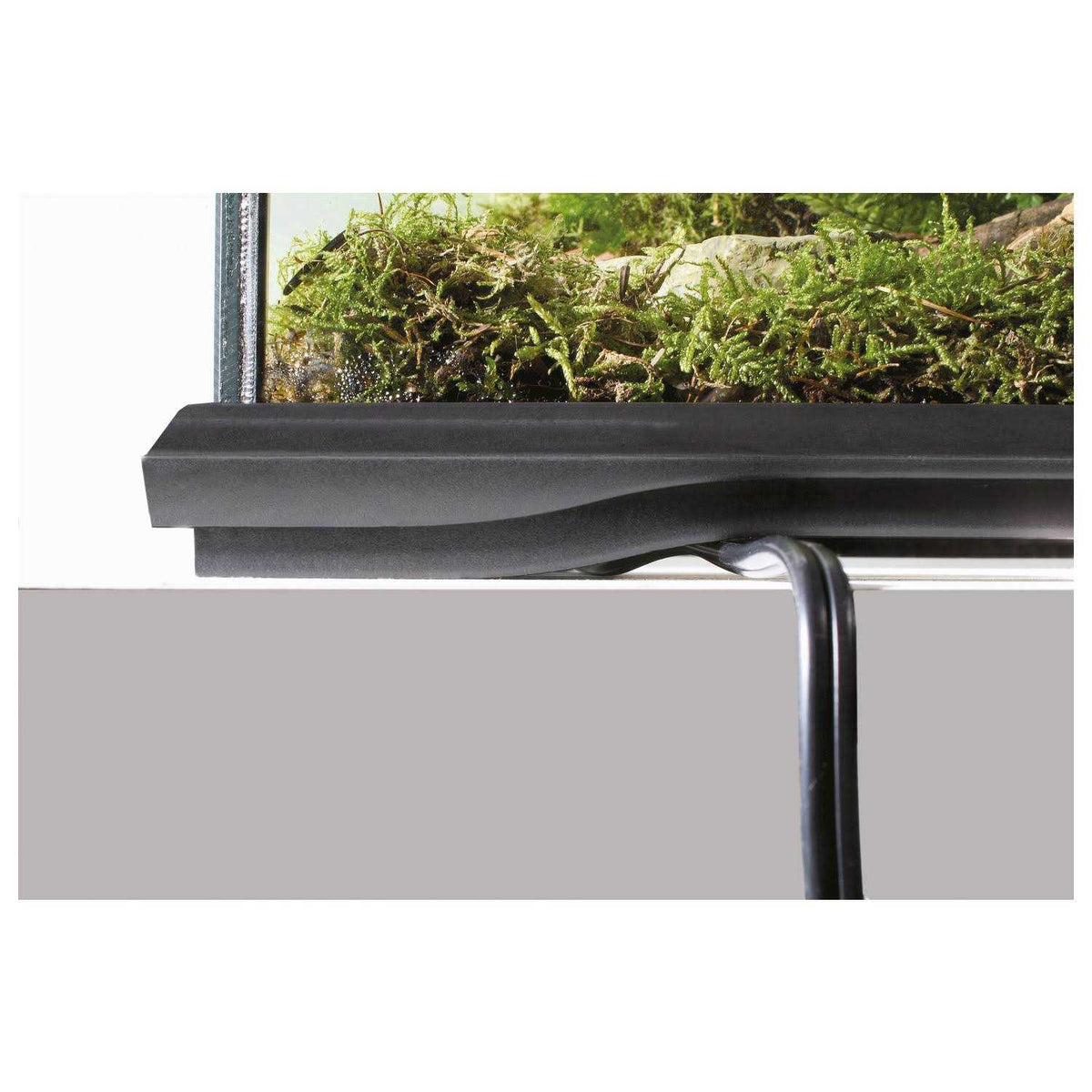 Glass Terrarium N8340