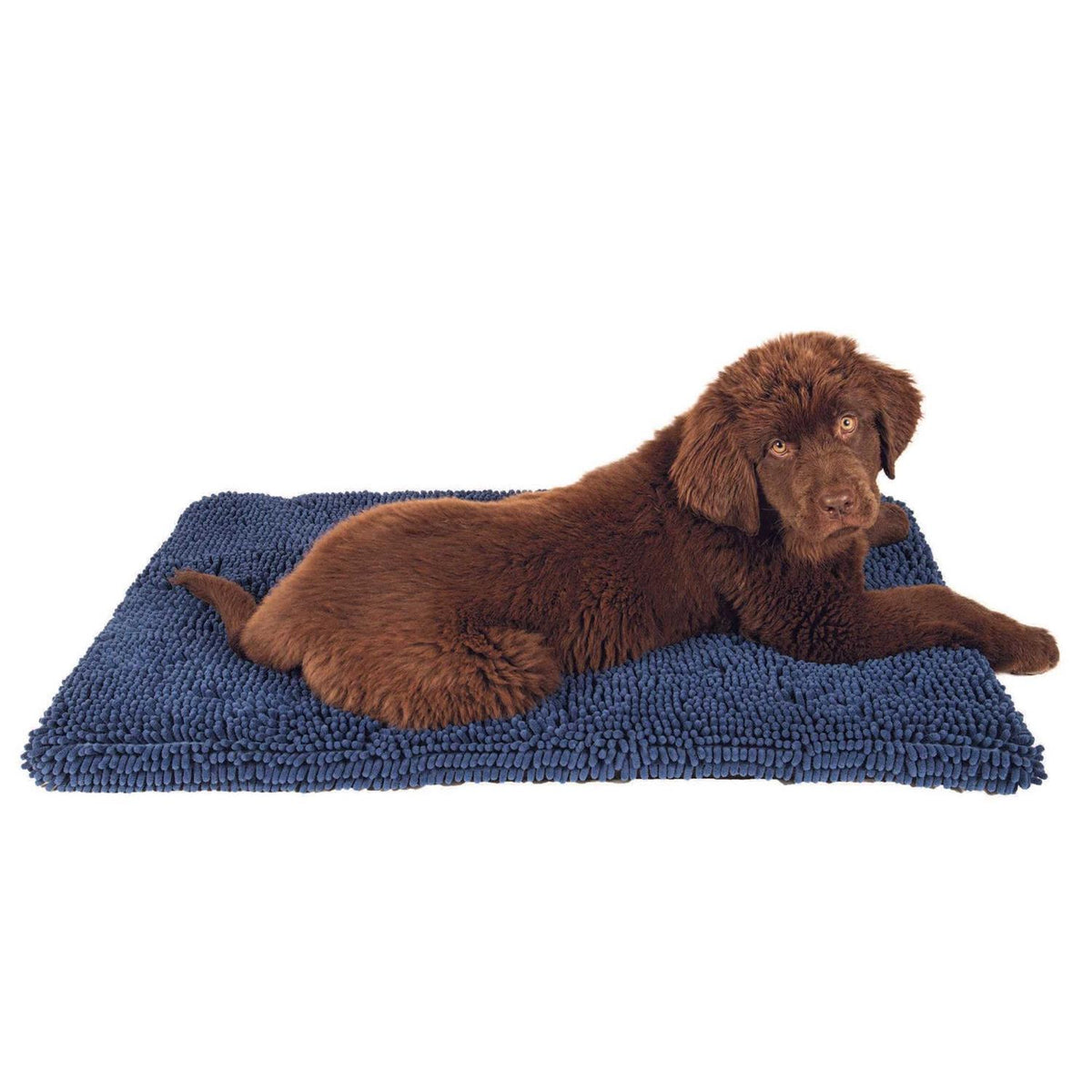 Dog Cushion Dog Pad D669321